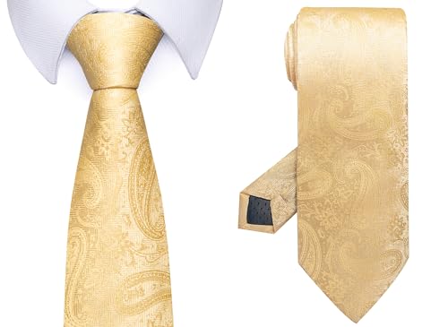 Image of Passabin Tie For Men Necktie Woven Jacquard Neck Ties Set 6 PCS