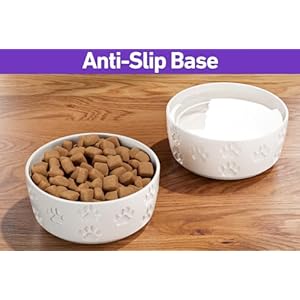Ceramic-Dog-Bowl-Set-with-Anti-Slip-Rings-5-Round-x-2-Tall-Set-of-2-Ceramic-Dog-Bowls-for-Small-Dogs-Small-Dog-Bowls-Dog-Food-and-Water-Bowl-White-Dog-Food-Bowls-Dog-Bowls-Small-Size-Dog - Cucciolini Doodles   Ceramic-Dog-Bowl-Set-with-Anti-Slip-Rings-5-Round-x-2-Tall-Set-of-2-Ceramic-Dog-Bowls-for-Small-Dogs-Small-Dog-Bowls-Dog-Food-and-Water-Bowl-White-Dog-Food-Bowls-Dog-Bowls-Small-Size-Dog