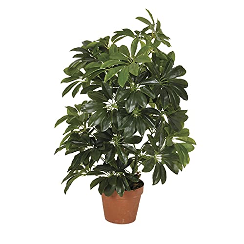 Plantawa Planta Cheflera, Planta Artificial, Decoración Interior Y Exterior, Planta Artificial Con Maceta Para Casa (145)