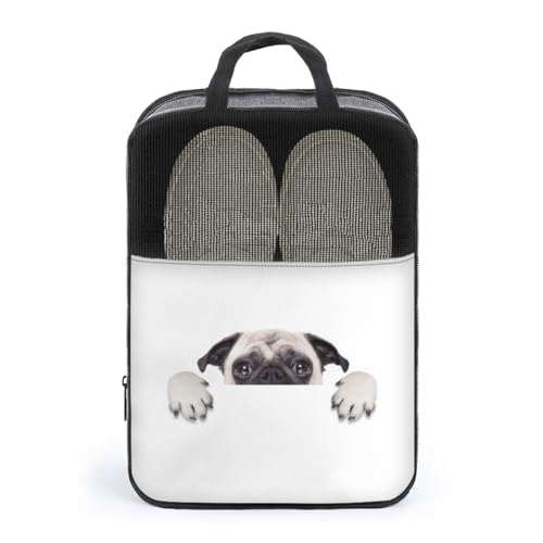 V[YP[X  pO V[YobO V[Y|[` V[Y gx|[` C  V[Y o s y ^тɕ֗ [obO ւ jp AEghA o s v[g