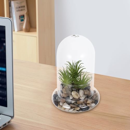 Botellas de vidrio de borosilicato COLLBATH para terrarios y micropaisajes con agujero de 8mm 7
