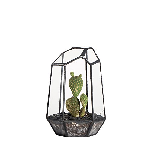 NCYP Small Geometric Terrarium - 4.1