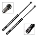 BOXI 2pcs Rear Trunk Lift Supports Struts Shocks Gas Struts Shocks Springs for Volkswagen Bora 2005-2010 / for Volkswagen Golf 2007 / for Volkswagen Jetta 2005-2010 | Replaces SG401052 1K5827550C