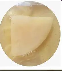 Kombucha Starter Scoby Alemão