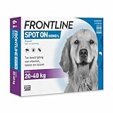 FRONTLINE