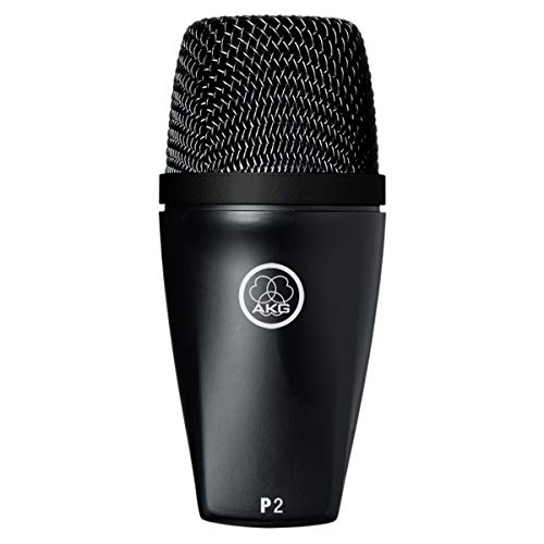 AKG P2 High-Performance Dynamic Bass Microphone