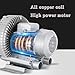 High-Pressure Vortex Ring Blower, Regenerative Blower Single Phase, Single Phase Vortex Blower, High-Pressure Industrial Vacuum Pump for Air Blowing Or Suction(750W/1.01HP)