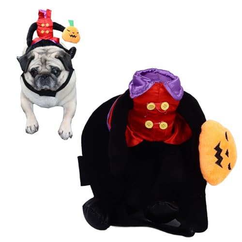 Disfraz para perro estilo caballero pequeño miniatura 5