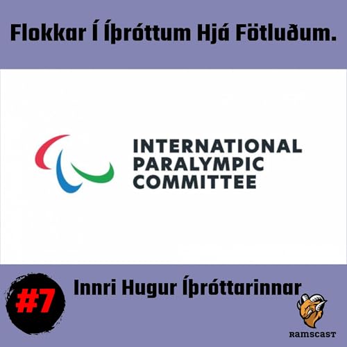 #7 Flokkar Í Íþróttum Hjá Fötluðum.