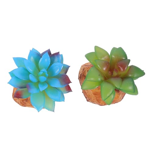 BESTonZON 2Pcs Lifelike Succulent Plants Decor for Reptile Box Safe Landscaping Ornament for Lizard Turtle Habitat Emulated Greenery Adornment