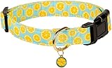 PREHAI Cute Cotton Dog Collar for Boy and Girl Dogs Summer Lemon Pattern Puppy Collar for Small Medium Large Dogs Adjustable Lemon Pattern Soft Pet Collar for Male Female Dogs