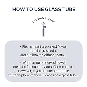 396stpreservedbabysbreathflowerreeddiffuserdarkvanillasandalwood200ml67ozreeddiffusersetsscentsyhomefragrancescentedoilshomebathroomdecor Urban Country Home Decor 396 st preserved babys breath flower reed diffuser dark vanillasandalwood 200ml67oz reed diffuser sets scentsy home fragrance scented oils home bathroom decor urban country home decor