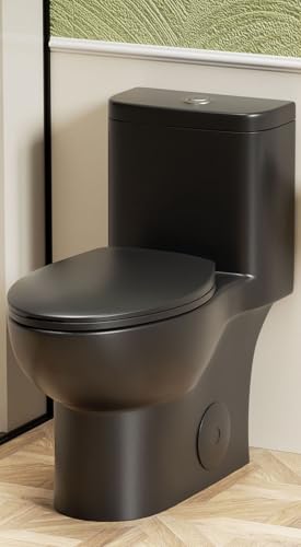 HRVEOCEI Black One Piece Toilets for Bathrooms Compact Dual Flush Toilet Elongated with Soft Closing Seat Modern 12 Inch Rough in Toilet Map 1000g Comfort Height Silent Design (Black)