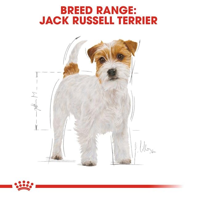 ROYAL CANIN Jack Russell Terrier Adult | 3 kg | Trockenfutter speziell für ausgewachsene und ältere Jack Russell Terrier - ab dem 10. Monat | Zur Erhaltung der Muskelmasse