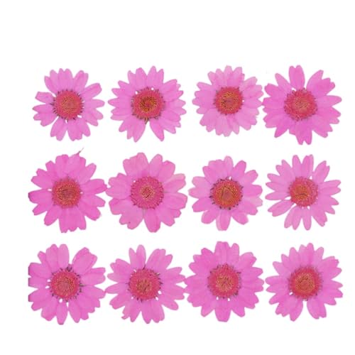 LZWNBX VRhCt[ ԃZbgi48jWp[c lCԍ DIY H|ޗ n[oEEtHgt[Evp EeE@ q DIY ubN}[Nf (}4)