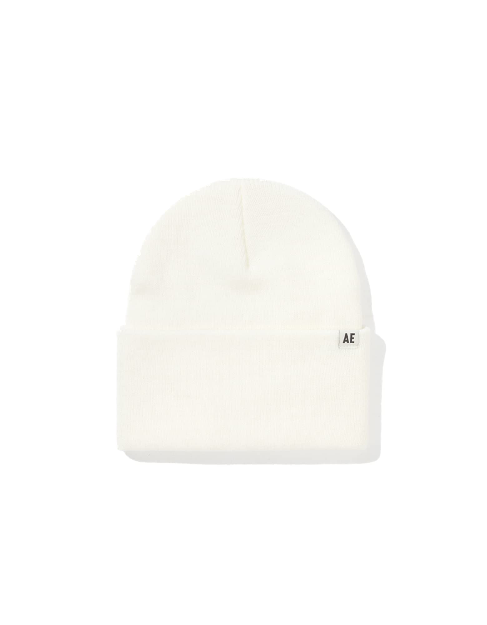 American Eagle Men Workwear Beanie