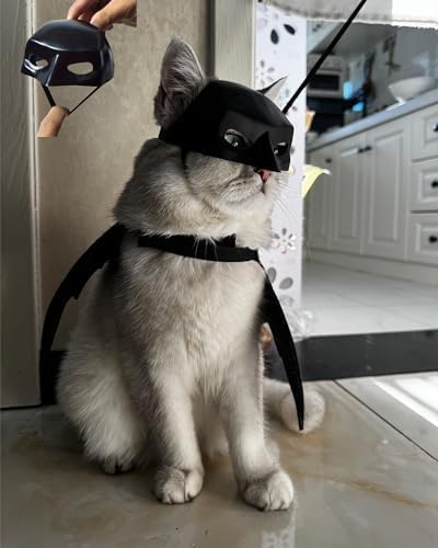 Cat Bat Mask and Pet Cat Wings with Leash for Halloween Costumes, Dog Bat Cosplay Apparel, Pet Dress Up Accessories (Mask+Wings+Leash)