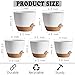 SE SUN-E Indoor Plant Pots for Lazy People, 5Pack White Plastic Self Watering Planter Pots for Houseplants,Succulent, African Violets,Snake Plants, Flowers and Cactus(7/6.5/6/5.5/5 Inch)