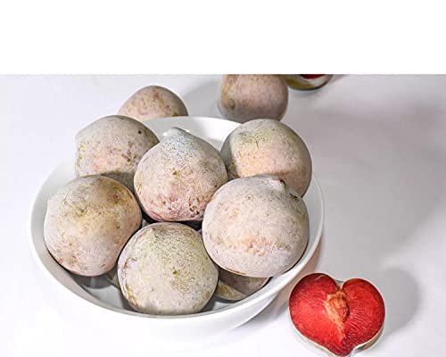 JOEDOT Plumcots 3.5 lbs , Sweet, juicy, and refreshing Picked at the peak of ripeness Part plum, part apricot (more plum) - Thumbnail 5