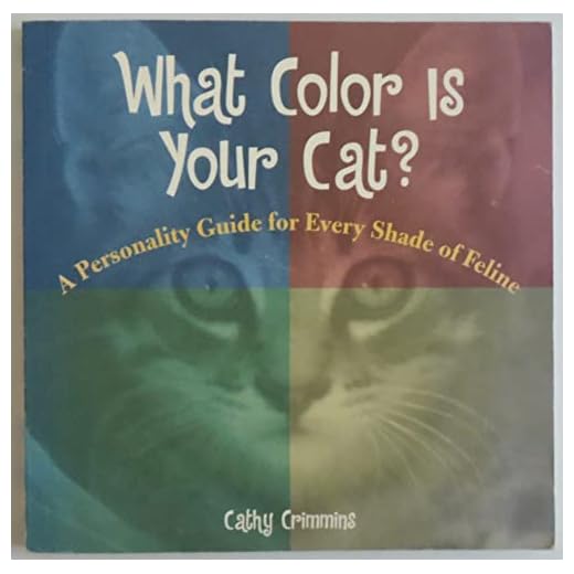 What Color Is Your Cat? Personality Guide