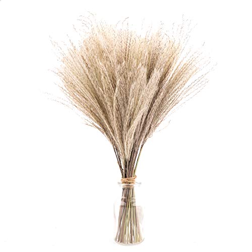 Lot de 50 herbes de pampa artificielles séchées de 40 cm - Style bohème - Décoration d'intérieur - Phragmites - Fleurs séchées - Pour vases, bouquet de fleurs blanches - Pour mariage