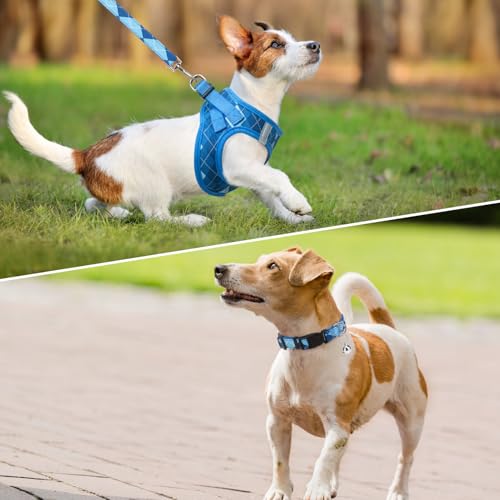 SCENEREAL Small Dog Harness and Leash Collar Set, Step in No Pull Soft Mesh Dog Harnesses for Small Medium Sized Dogs Puppy and Cats Outdoor Walking, No Chock Reflective Vest Harness, Blue Plaid XS - Image 3