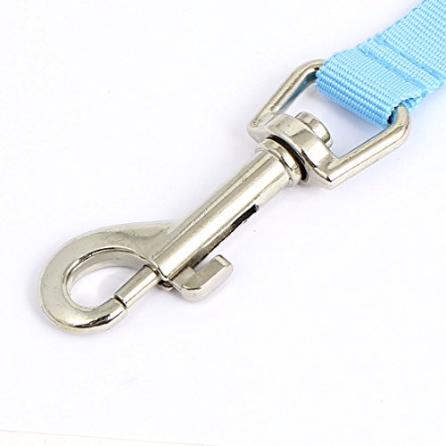 Ruilogod Haustier Katze Hund Blaue Beleuchtung Nylonleine Harmess-Bleigurt 120 cm