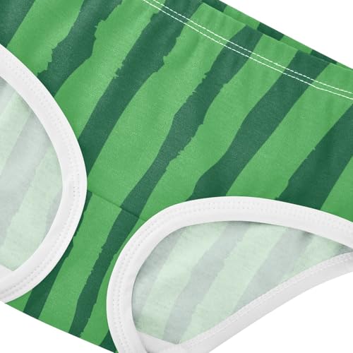 Panties Daily Wear Panties Breathable Underwear for Girls in Sizes 2T,3T, 4T, 5T, 6Y and 8Y4