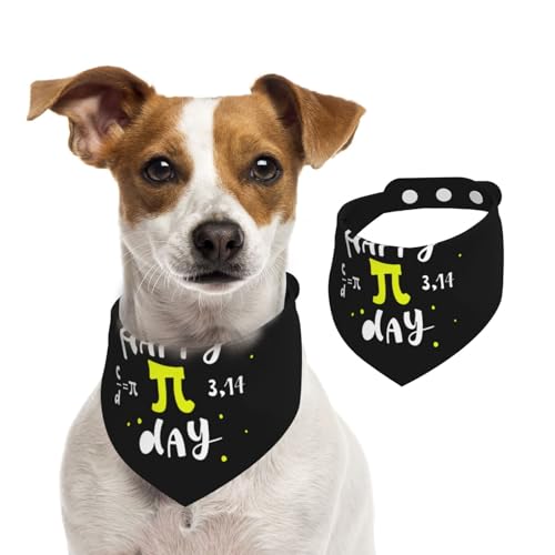 Pañuelo para perro Pi Day tamaño grande