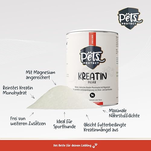 Pets Protect Kreatin Monohydrat Pulver Hunde - Futterergänzung Sporthunde & Wettkampfhunde mit Magnesium - Nährstoffmangel Hund ausgleichen - Futtermittel Sporthunde Nahrungsergänzung - geprüft