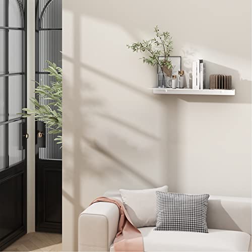 Danpoo D004 Adhesive Floating Shelf For Wall Storage, Metal Wall Shelf For Bathroom/Living Room/Kitchen/Bedroom thumb #1