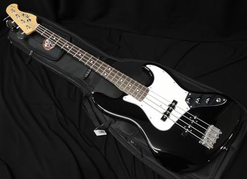FUJIGEN BCJB100RBD BK FGN tWQ WYx[X^Cv made in japan 4 GLx[X ubN