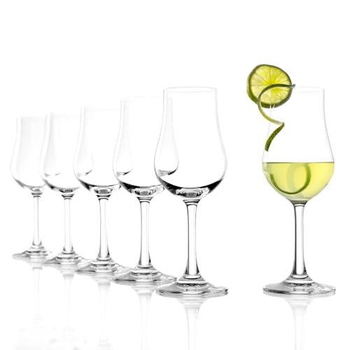 Stölzle Lausitz Set of 6 Brandy Glasses (CLASSIC). Dishwasher Safe Liqueur Glasses (6.25 Fl oz). Durable Bourbon Snifter Glass - Genuine Stölzle Glassware