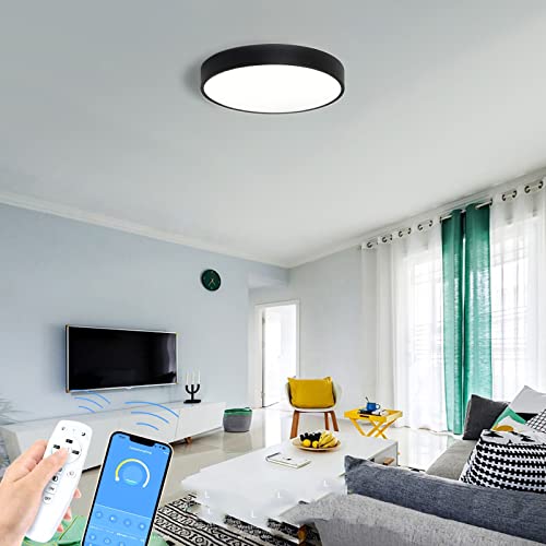 BKBEINGKING 北欧風 2-4畳 APP遠隔制御 無段階調光調色 LED シーリングライト おしゃれ 北欧 リモコン付き インテリア ライト リビング 天井 照明器具 間接照明 和室 居間 日本語説明書 BK-HTM353【ブラック 直径30cm