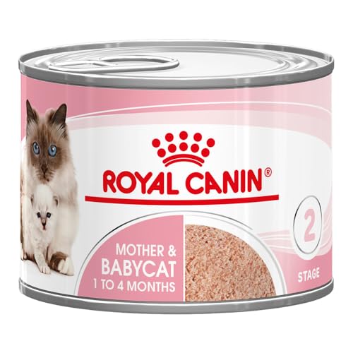 Royal Canin Mother & Babycat Mousse | 12 x 195 g | Aliment Complet pour Chats | Spécialement conçu pour la Chatte et Ses Chatons | pour Soutenir Les défenses...