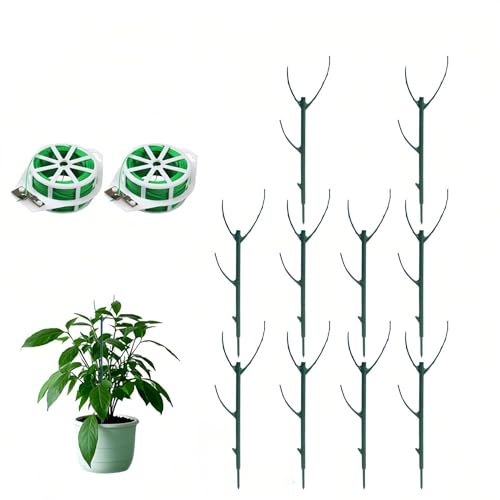 モンステラ 支柱 園芸 観葉植物 支柱 おしゃれ 観葉植物 広がり防止 パキラ ポトス 細い ジョイント 固定 高さ 枝分かれ 調節可能 積み重ね可能な ガーデニング 木 つた 登山や鉢植えの草に庭のステークを使用します