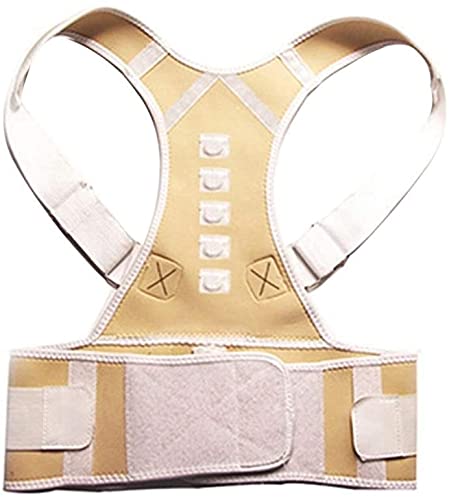 Corrector Back Belt Lumbar Support Straight Adjustable Corset Brace for Men Women S-XXL (Black XX)