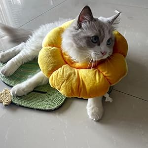 Kudes cat small dog recovery collar cute sunflower neck cone after surgery adjustable pet e collar wound healing protective cone surgery recovery elizabethan collars for small pets   cucciolini doodles