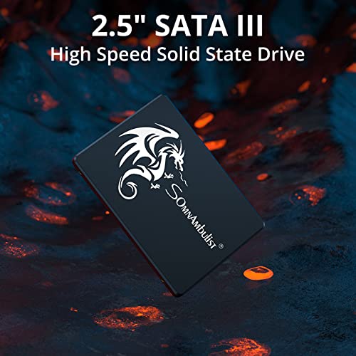Image of Somnambulist SSD 120GB 2.5″ 7mm(0.28″) SATA III 6Gb /s Internal Solid State Hard Drive 3D NAND Up to 520Mb /s for Laptop and Pc (120gb Black Dragon)