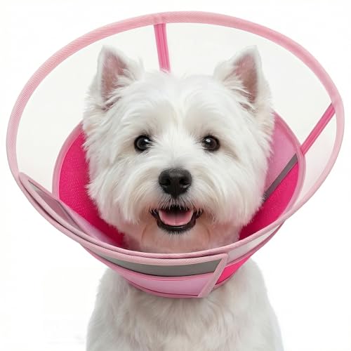 Image of KOESON Soft Dog Cone for Small Dogs After Surgery with Reflective Trim