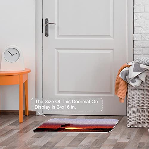 Paillasson d'intérieur super absorbant et lavable machine motif oiseau