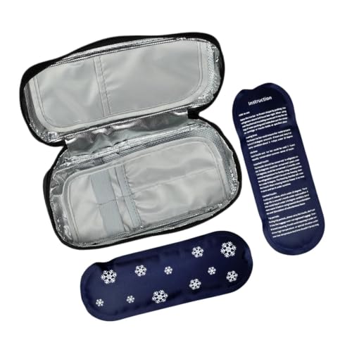 Refrigerante de móvil con 2 paquetes de hielo reutilizables para camping y exteriores