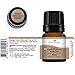 Plant Therapy Organic Helichrysum Italicum Essential Oil for Skin 100% Pure, USDA Certified Organic, Undiluted, Natural Aromatherapy for Diffusion, Therapeutic Grade 2.5 mL (1/12 oz)