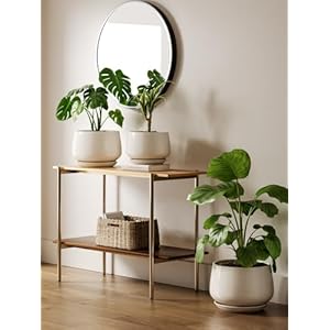 Le tauci ceramic planters 10 inch pots for plants indoor plant pots with drainage holes and saucers modern planters fit mid century plant stand flower pots for indoor plants reactive glaze beige  urban country home decor