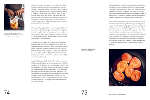 Image of The Noma Guide to Fermentation (Foundations of Flavor)