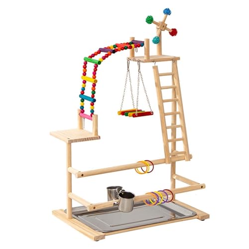 LOL-FUN Vя IE vCX^h GNTTCY |[^u xr[T[N  2t CR ZLZCCRpX^h z[fR[V