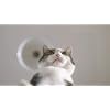 Product Photo 7