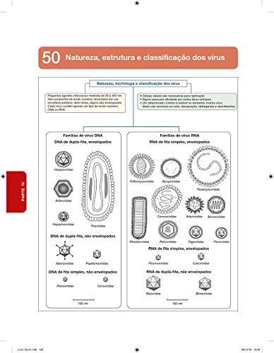 Microbiologia Veterinária: Essencial