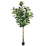 Vickerman Everyday Faux Fiddle Leaf Fig Tree 10ft Tall Green Silk Artificial Indoor Fiddle Plant With 184 Large Fiddle Leaves Single Stem Home Office Decor