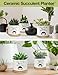 PWHINGN I Have Asked You Thrice Now for Water Ceramic Succulent Planter Pot, Funny Plants Pots Schitts Merchandise Gifts, for Women Mom Grandma Plant Lovers Gifts - 3.5 inch(Plant Not Included)